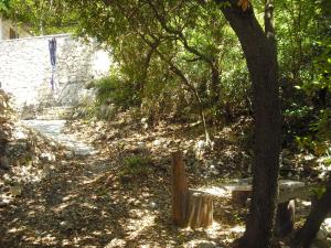 Secluded fishermans cottage Cove Rasohatica, Korcula - 9233