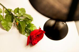 Apartments with parking space Brna, Korcula - 9188