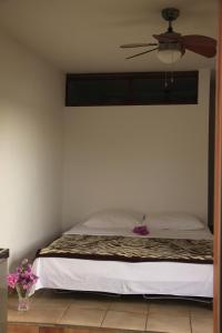 Apartments by the sea Kneza, Korcula - 9166