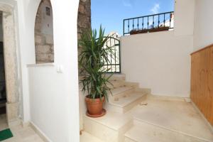 Apartments with WiFi Zrnovo, Korcula - 9214