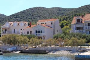 Apartments by the sea Kneza, Korcula - 9171