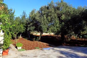 Apartments with a parking space Lumbarda, Korcula - 9298