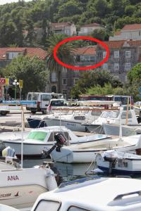 Apartments by the sea Korcula - 9217