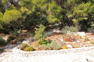 Apartments by the sea Prizba, Korcula - 9229