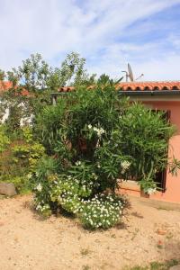 Apartment Veli Losinj 8029b