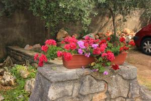 Apartment Veli Losinj 8029b