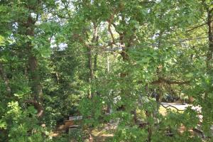 Apartments with parking space Opric, Opatija - 7728