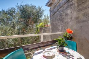 Studio Mali Losinj 7942d