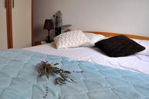 Apartments with a parking space Pula - 7664