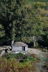 Maisons d'hotes A Villa di Rutali : photos des chambres