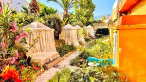 Double Room with Spa Bath room in Orpheas Resort Hotel (Adults Only)
