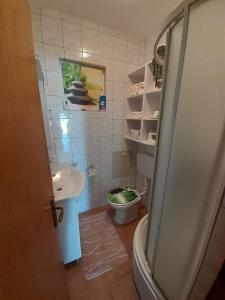 Apartment on the beach