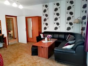 Große Wohnung in dritter Etage mit Terrasse im Altstadtzentrum - Ferienwohnung Chiplakoff