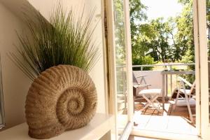 Zinnowitz Duenennest Wohnung 17 W17ZL