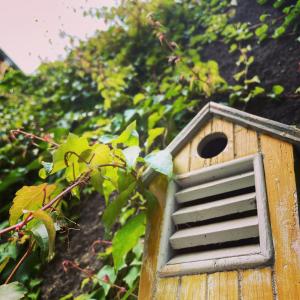 Sejours chez l'habitant La Maison aux murs anciens et ses chambres : photos des chambres