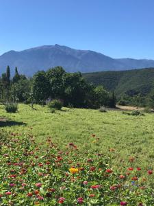 Appartements Els Pirineus : photos des chambres