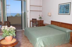 Superior Double Room room in Hotel Baia Del Sole