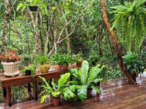 Casa Dharma - Conforto e Silêncio