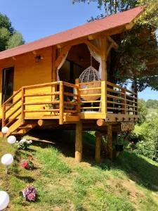 Domeniul Horj Casa din Stejar Moisei - 莫伊塞