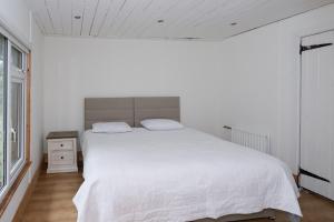 Lilly Lodge; nestled within the forest.