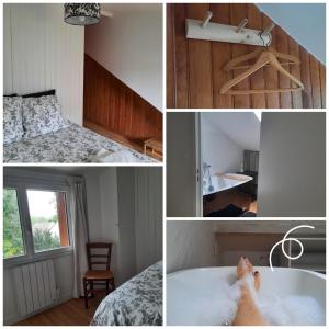 Appartements L'ile Des Prevots : photos des chambres