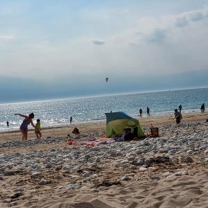 Appartements Le Bain de Mer : photos des chambres