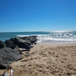 Appartements Le Bain de Mer : photos des chambres