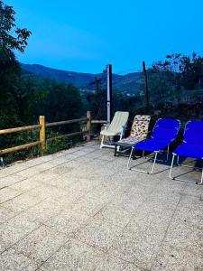 THE DORMOUSE - Il Ghiro