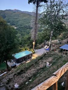 THE DORMOUSE - Il Ghiro