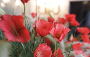 Residentie Kursaal Ref29