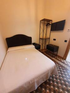 Standard Single Room with Shared Bathroom room in Hostal Lausanne