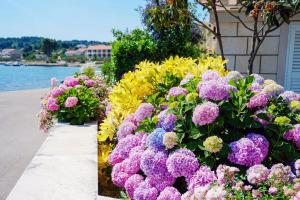 Apartments by the sea Lumbarda, Korcula - 9325