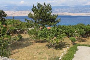 Apartments with a parking space Bosana, Pag - 9374