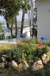 Apartment Stara Novalja 9416a