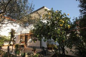 Apartments by the sea Okrug Gornji, Ciovo - 9469