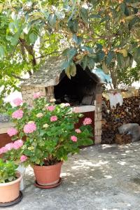 Apartment Bilo 9467d