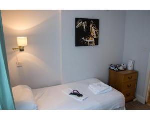 Single Room room in Richmond Hotel