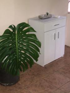 Casa de Campo La Guaria