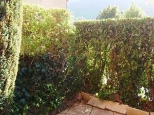 Studio cabine 2 pers avec parking à Esquièze-Sère - FR-1-402-124