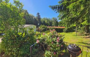Pet Friendly Home In Harzgerode Ot D