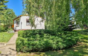 Awesome Home In Harzgerode Ot D With Wifi