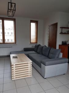 Loft z ogrodem na dachu