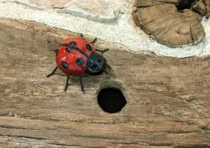 La Grange - A Peaceful Place in the Forest