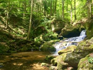 Wirtshausbrennerei Krenn