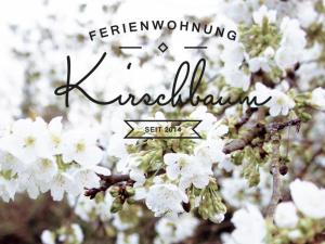 Ferienwohnung Kirschbaum - Апартаменты/квартиры, Руст