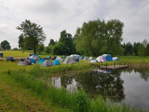 Biebrza CAMP - pole namiotowe