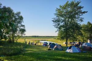 Biebrza CAMP - pole namiotowe