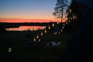 Biebrza CAMP - pole namiotowe