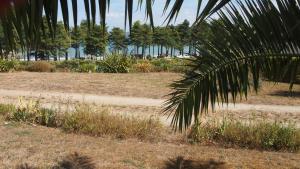 Maisons de vacances Belle villa a 150m de la plage. : photos des chambres