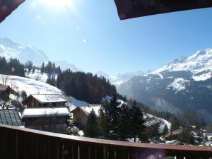 Chalet Eigersunne 2